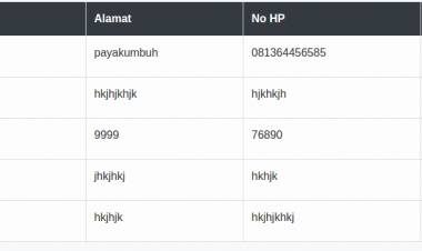Tampil data mengunakan Vue js dan Codeigniter