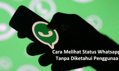 Cara Melihat Status Whatsapp Tanpa Diketahui Pengguna